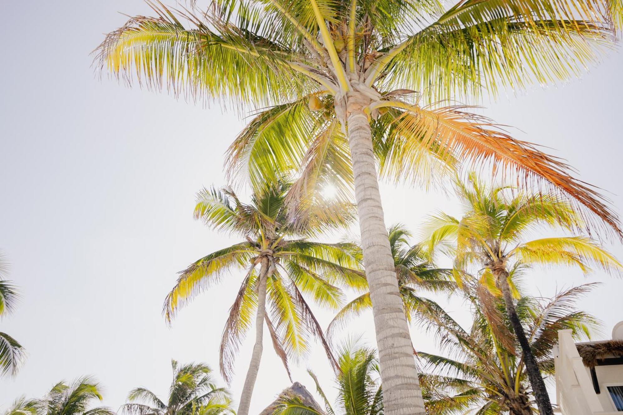 Vr Club Tulum Riviera Hotel Exterior photo